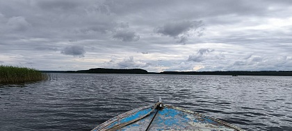 Фото к отзыву