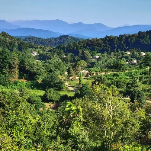 Усадьба Парнаут КМ