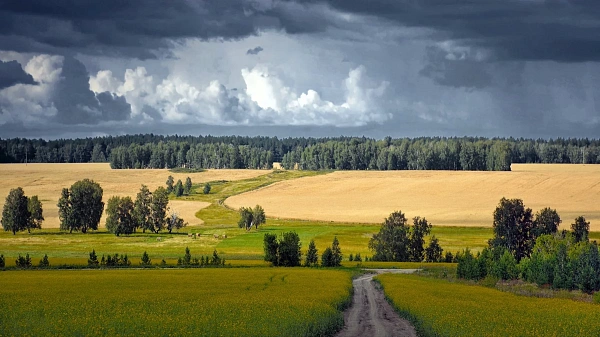 Отдых в Курганской области