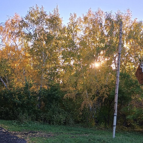 Филиппины в Подсосново